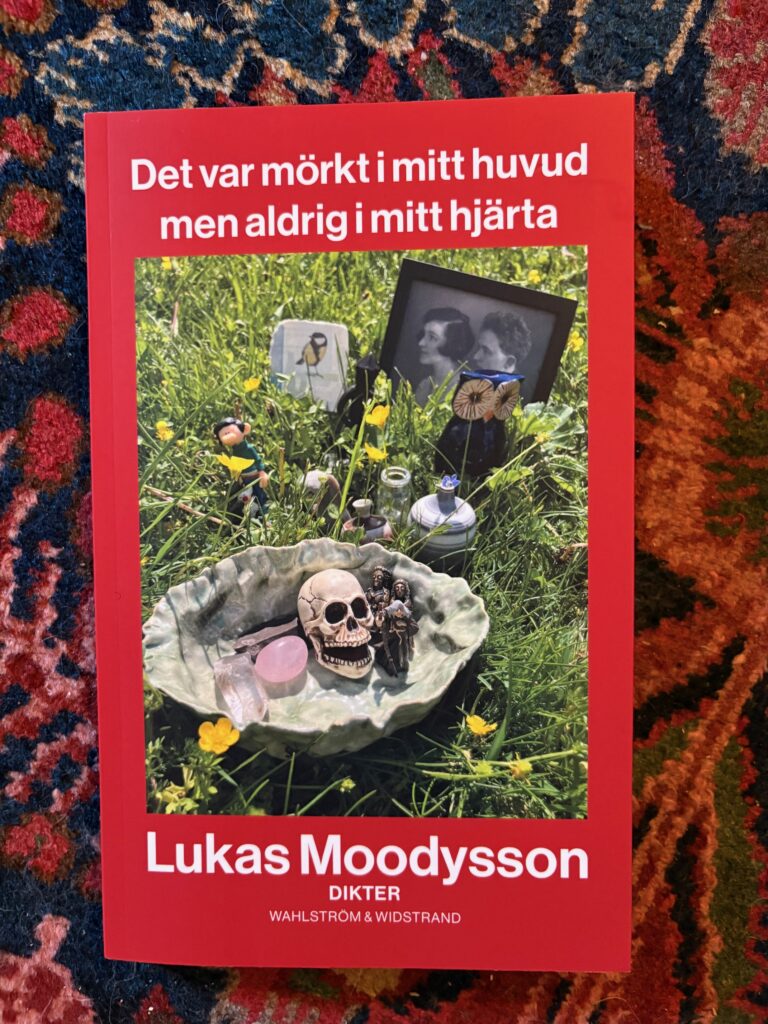 Bokomslaget till Det var mörkt i mitt huvud men aldrig i mitt hjärta av Lukas Moodysson